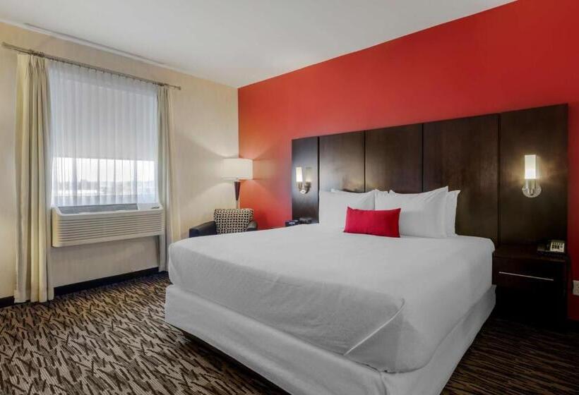 سوئیت با تخت بزرگ, C Hotel By Carmen S, Bw Premier Collection