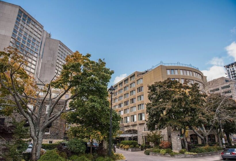 带景观的带双人床的标准间, Courtyard By Marriott Halifax Downtown