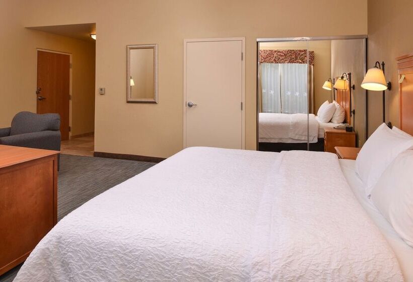 إستوديو قياسى سرير مزدوج, Hampton Inn & Suites Tampa East