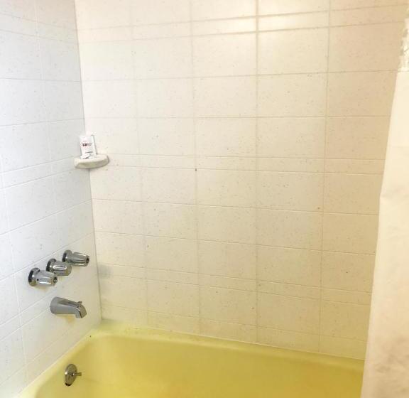 اتاق استاندارد با 2 تخت دوبل, Skyview Manor Motel