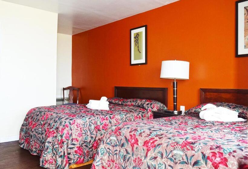اتاق استاندارد با 2 تخت دوبل, Skyview Manor Motel