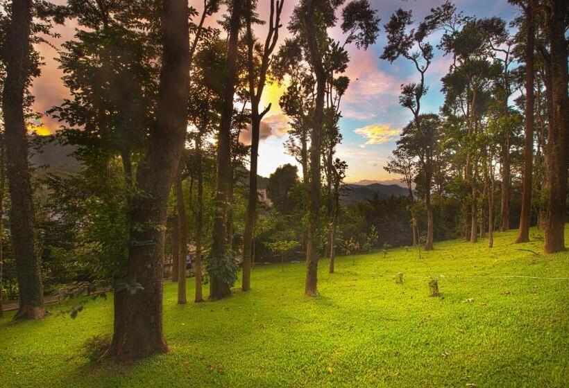اتاق سوپریور, Greenwoods Resort, Thekkady