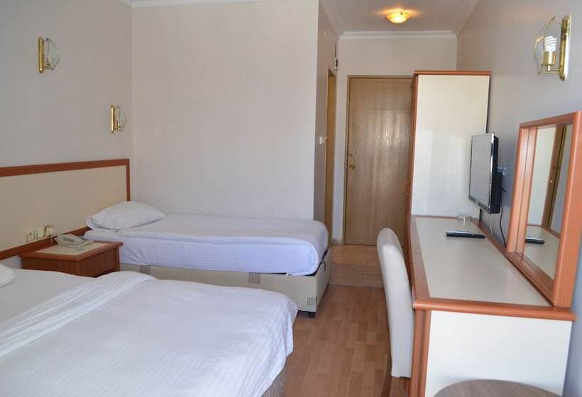 اتاق استاندارد سه نفره, Grand Milano
