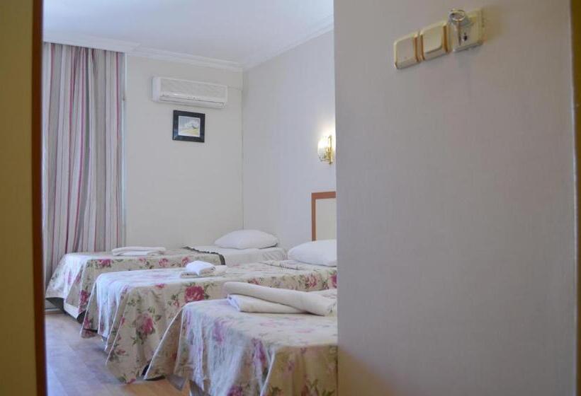 اتاق استاندارد سه نفره, Grand Milano