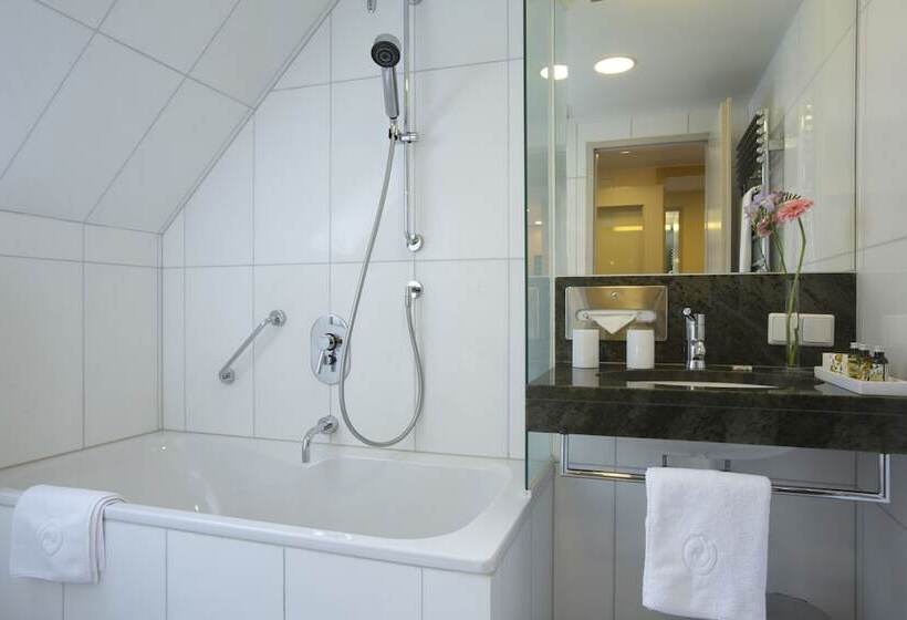 استودیوی استاندارد, Appartement Hotel An Der Riemergasse