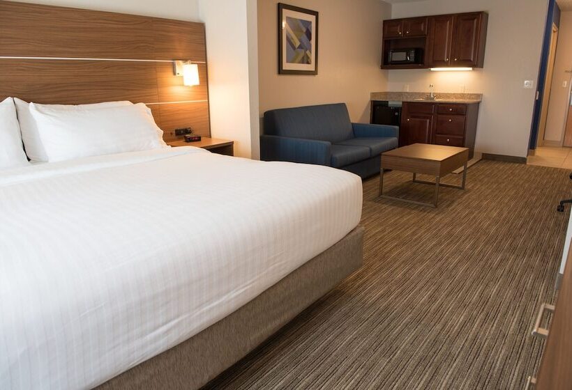 Sviitti, Holiday Inn Express Hotel & Suites Elkhart South, An Ihg