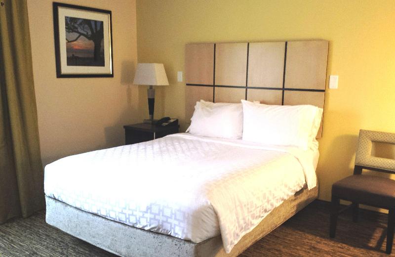 سوییت, Candlewood Suites Greenville Nc, An Ihg