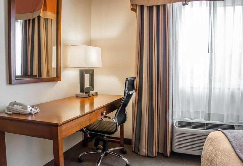 اتاق استاندارد با تخت بزرگ, Comfort Inn Near University