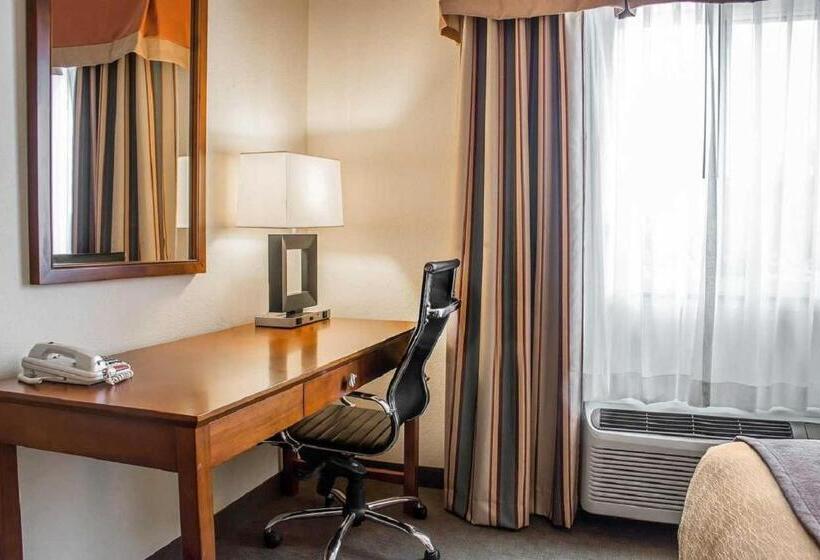 اتاق استاندارد با تخت بزرگ, Comfort Inn