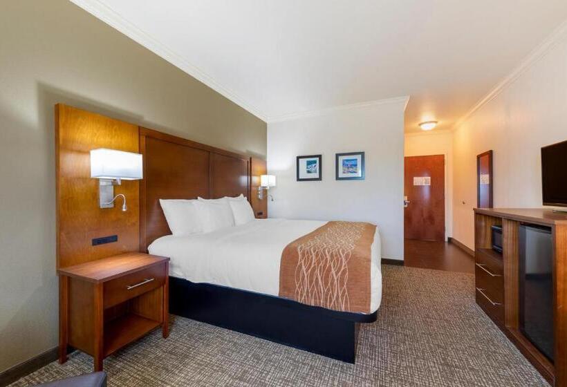 اتاق استاندارد با تخت بزرگ, Comfort Inn Near University