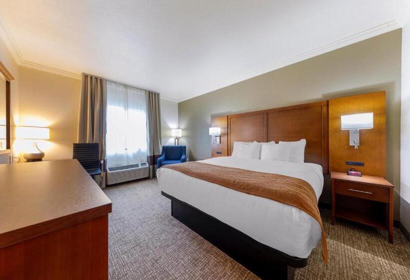 اتاق استاندارد با تخت بزرگ, Comfort Inn Near University