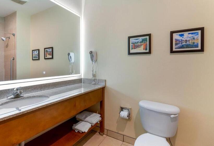 اتاق استاندارد با تخت بزرگ, Comfort Inn Near University