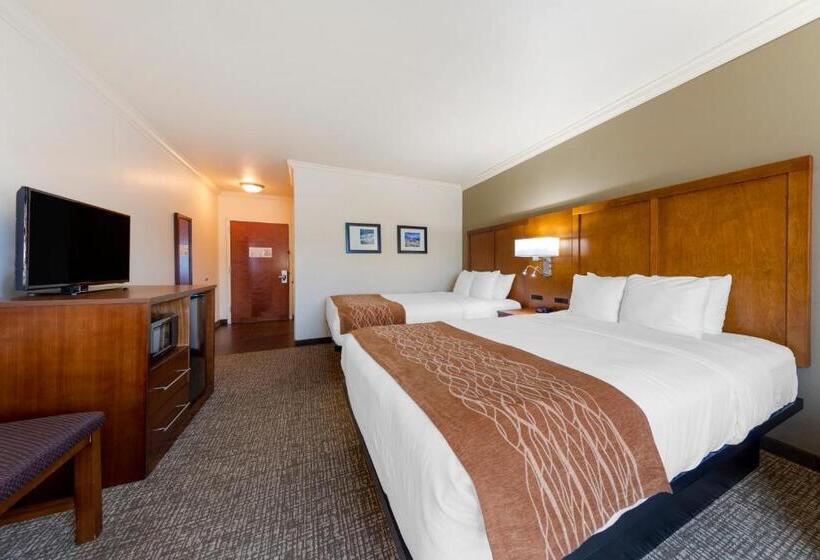 اتاق استاندارد, Comfort Inn Near University