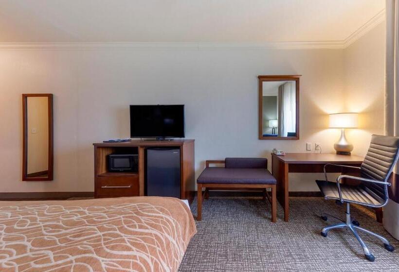 اتاق استاندارد, Comfort Inn Near University