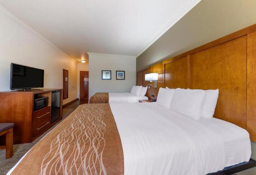 اتاق استاندارد برای معلولان, Comfort Inn Near University