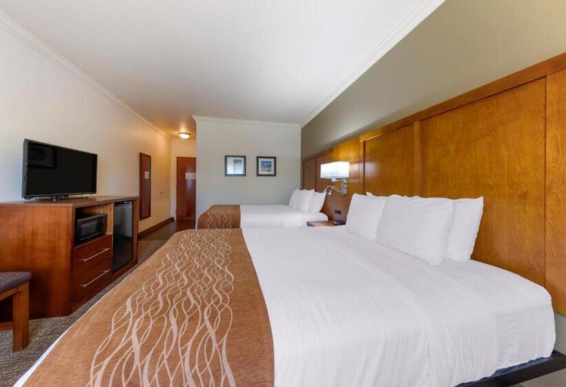 Standard Room Adapted for people with reduced mobility, Comfort Inn