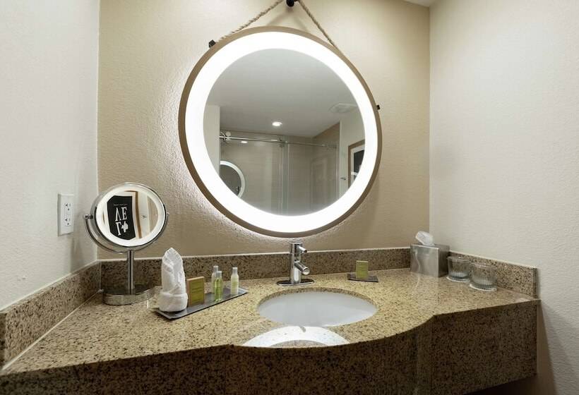 اتاق استاندارد برای معلولان, Doubletree By Hilton Hotel Galveston Beach