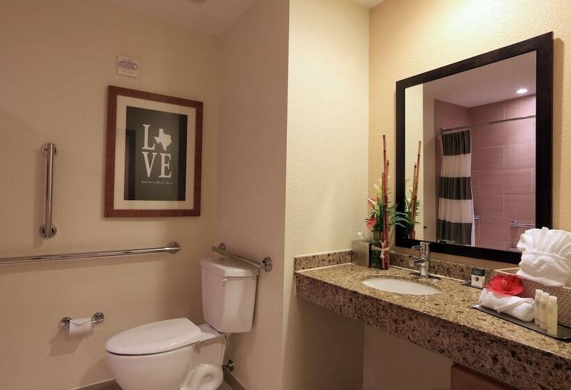 اتاق استاندارد برای معلولان, Doubletree By Hilton Hotel Galveston Beach
