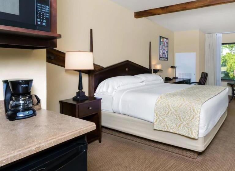اتاق استاندارد با تخت بزرگ, Hawthorn Extended Stay By Wyndham Rome