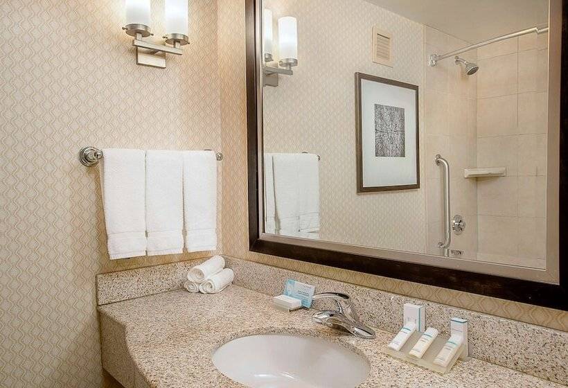 اتاق استاندارد با تخت بزرگ, Hilton Garden Inn St. Louis Airport