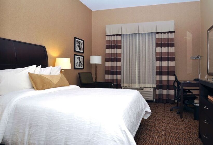 غرفة قياسية سرير كينج, Hilton Garden Inn St. Louis Airport