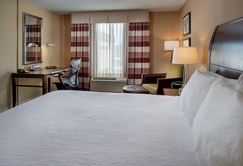 اتاق استاندارد با تخت بزرگ, Hilton Garden Inn St. Louis Airport