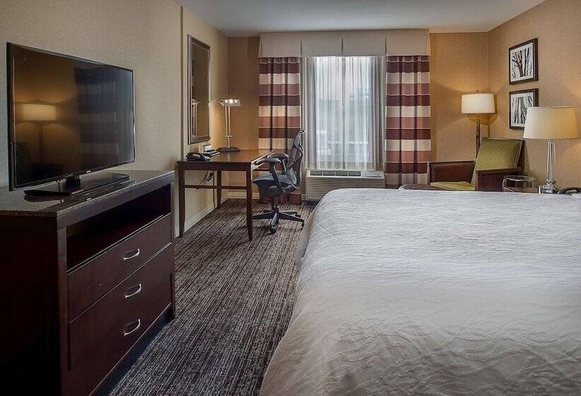 اتاق استاندارد با تخت بزرگ, Hilton Garden Inn St. Louis Airport