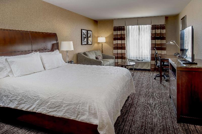 اتاق لوکس با تخت بزرگ, Hilton Garden Inn St. Louis Airport