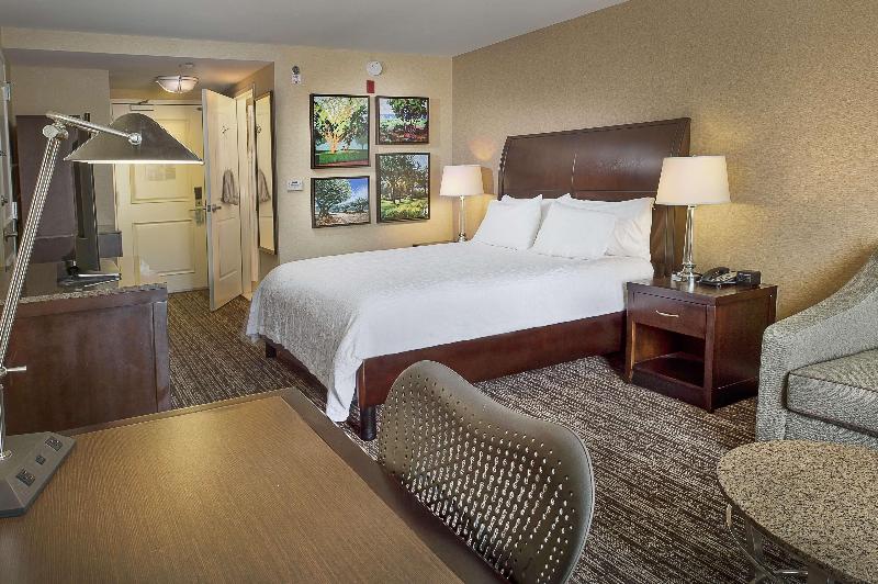اتاق لوکس با تخت بزرگ, Hilton Garden Inn St. Louis Airport