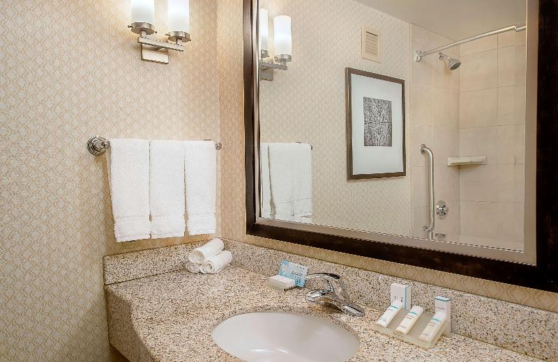 اتاق لوکس با تخت بزرگ, Hilton Garden Inn St. Louis Airport