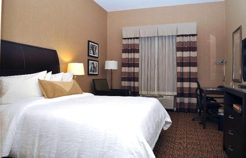 اتاق استاندارد با تخت بزرگ, Hilton Garden Inn St. Louis Airport