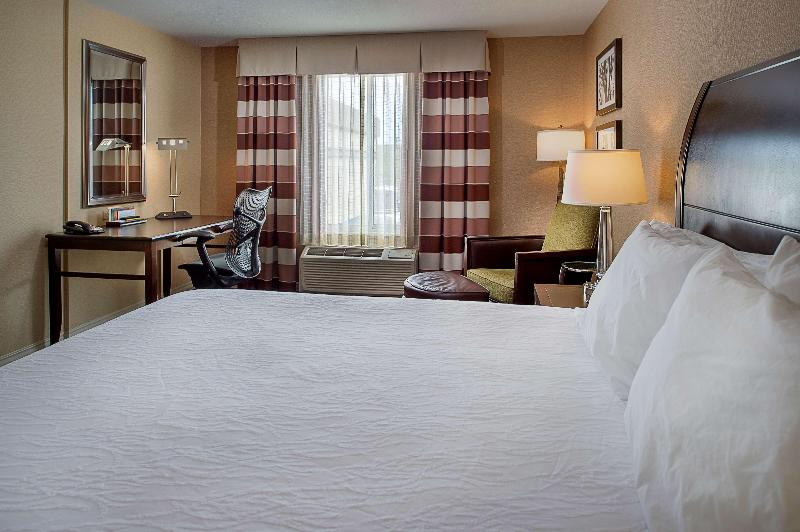 اتاق استاندارد با تخت بزرگ, Hilton Garden Inn St. Louis Airport