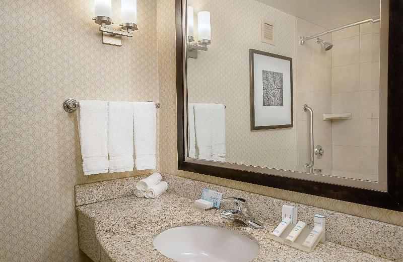 اتاق استاندارد با تخت بزرگ, Hilton Garden Inn St. Louis Airport