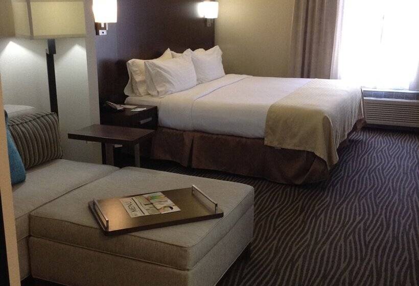اتاق استاندارد, Holiday Inn El Paso Airport, An Ihg