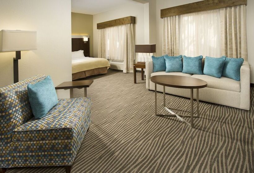 اتاق استاندارد با تخت دوبل برای معلولان, Holiday Inn El Paso Airport
