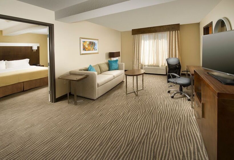 اتاق استاندارد, Holiday Inn El Paso Airport