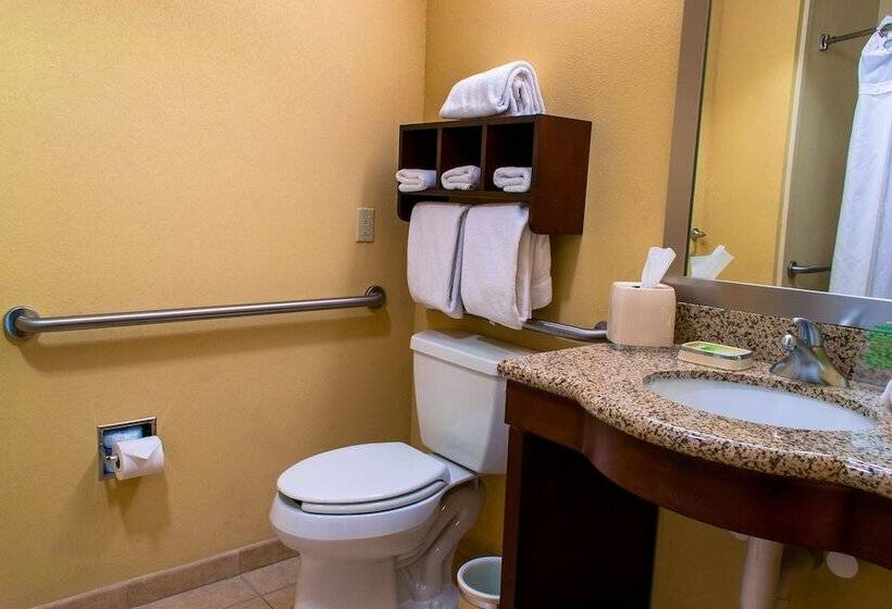 اتاق استاندارد, Holiday Inn Express & Suites El Paso West By Ihg