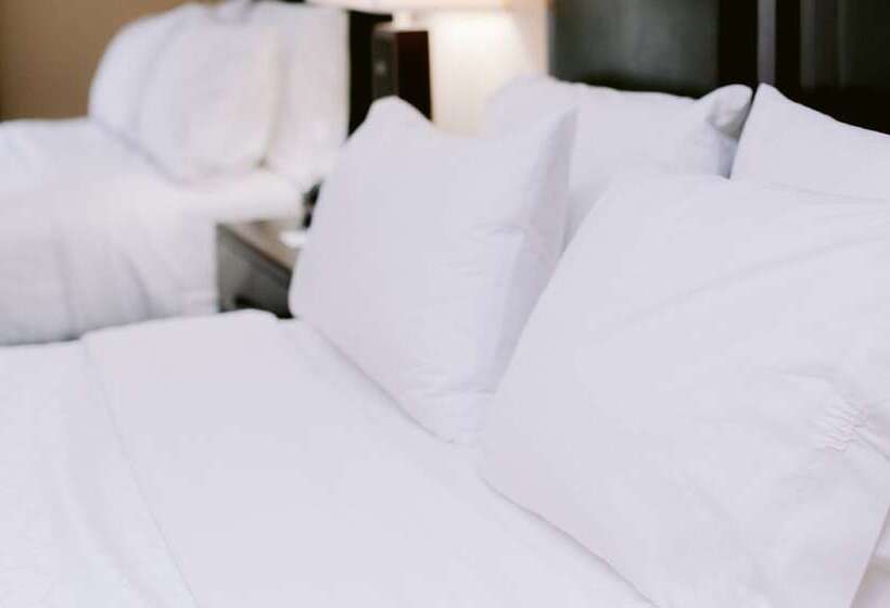 سوییت, Holiday Inn Express Hotel Raleigh Southwest, An Ihg