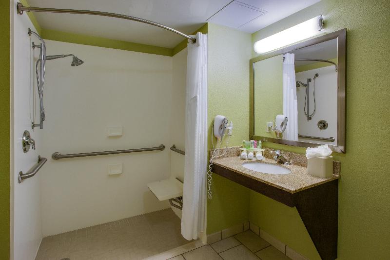 اتاق استاندارد با تخت بزرگ, Holiday Inn Express Hotel Raleigh Southwest, An Ihg