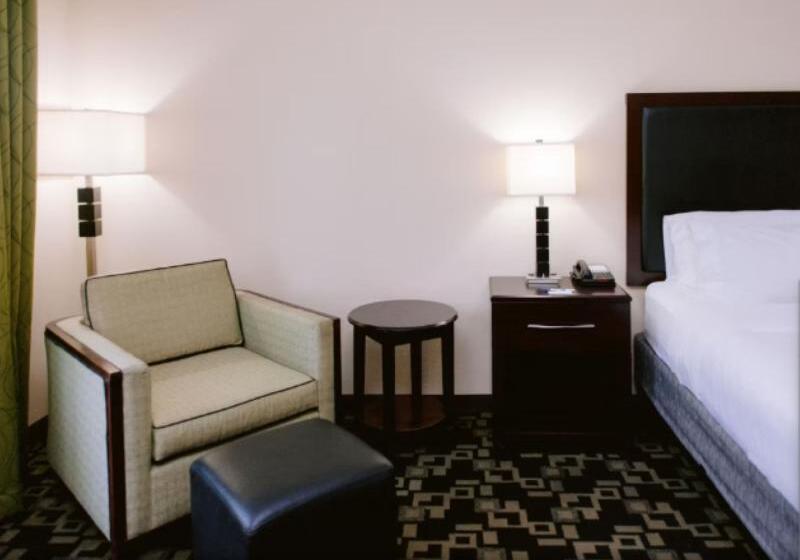 Camera Standard Letto King Accessibile ai persone con mobilità ridotta, Holiday Inn Express  & Suites Raleigh Sw  At Nc State