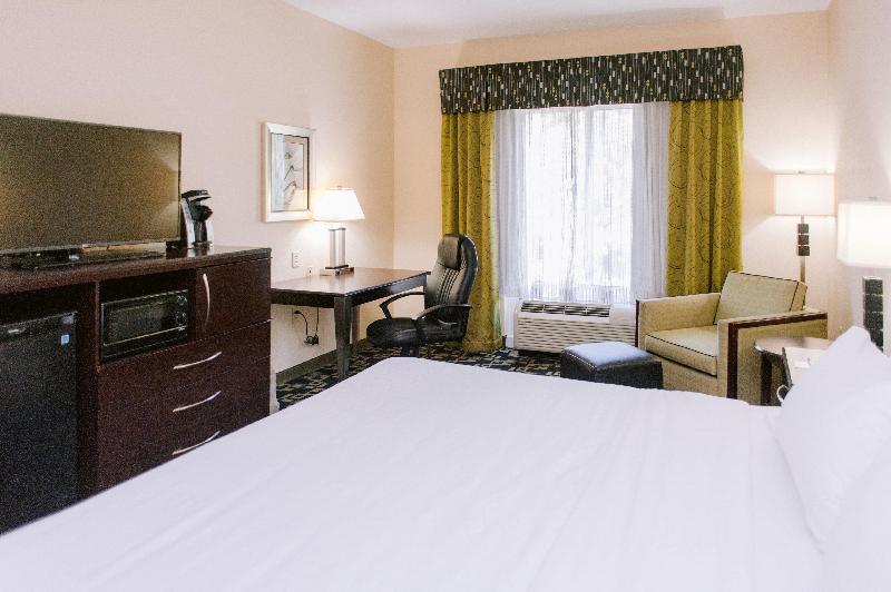 اتاق استاندارد با تخت بزرگ, Holiday Inn Express Hotel Raleigh Southwest, An Ihg