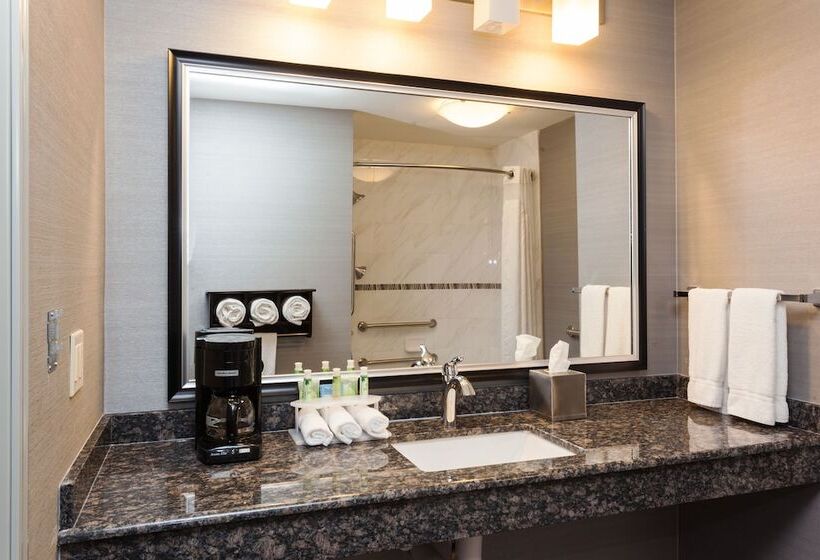 スタンダードルーム, Holiday Inn Express & Suites Rapid City, An Ihg