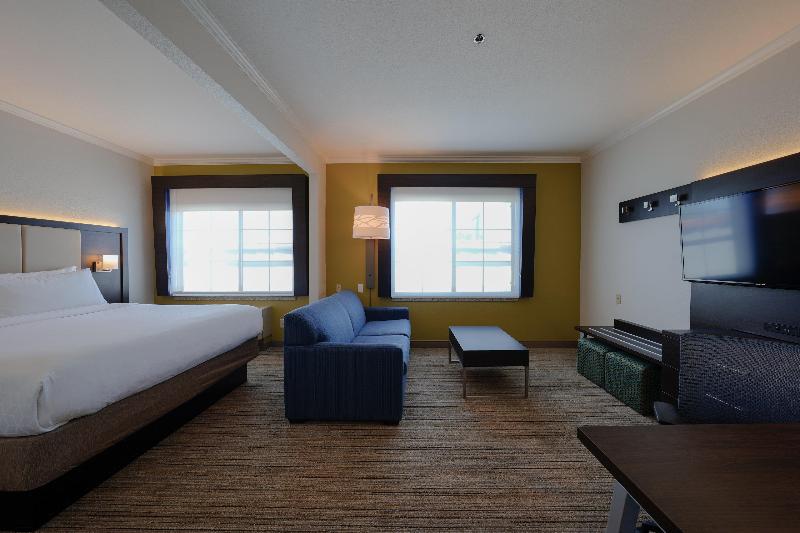 سوئیت با تخت بزرگ, Holiday Inn Express  & Suites Santa Clara  Silicon Valley