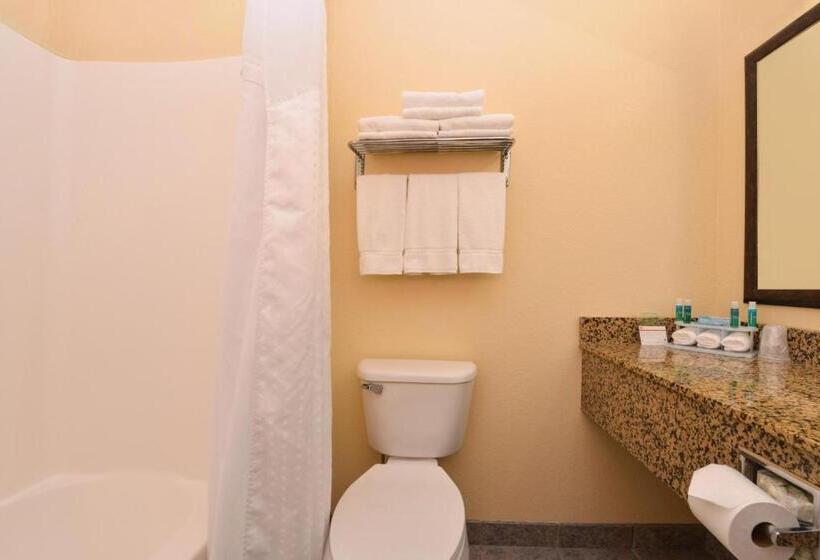 Стандартный Номер Кровать Кинг, Holiday Inn Express Morgantown, An Ihg