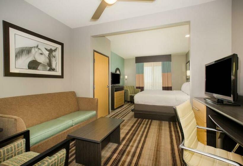 سوئیت با تخت بزرگ, Holiday Inn Express & Suites Amarillo West, An Ihg