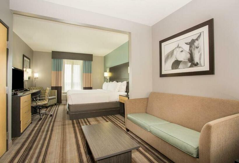 سوئیت با تخت بزرگ, Holiday Inn Express & Suites Amarillo West, An Ihg