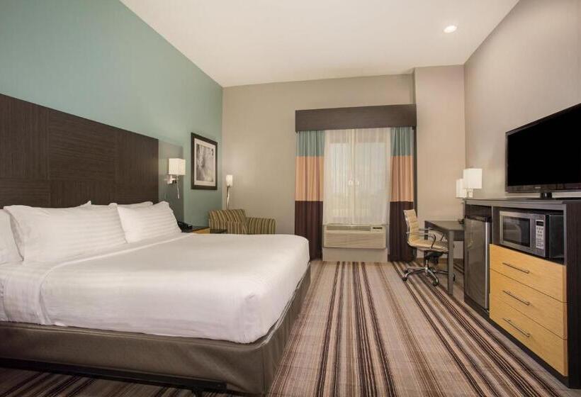 Camera Standard Letto King Accessibile ai persone con mobilità ridotta, Holiday Inn Express  & Suites Amarillo West