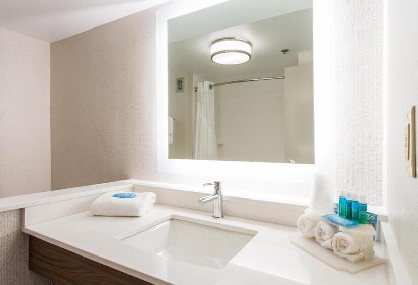 اتاق استاندارد با تخت بزرگ, Holiday Inn Express & Suites Wilmington University Center, An Ihg