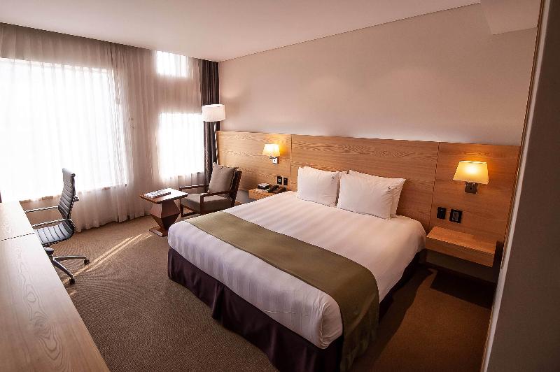 اتاق استاندارد با تخت بزرگ برای معلولان, Holiday Inn Gwangju, An Ihg