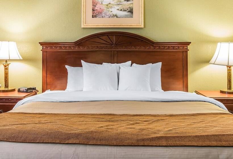 اتاق استاندارد با تخت دوبل, Quality Inn & Suites Ann Arbor Hwy 23